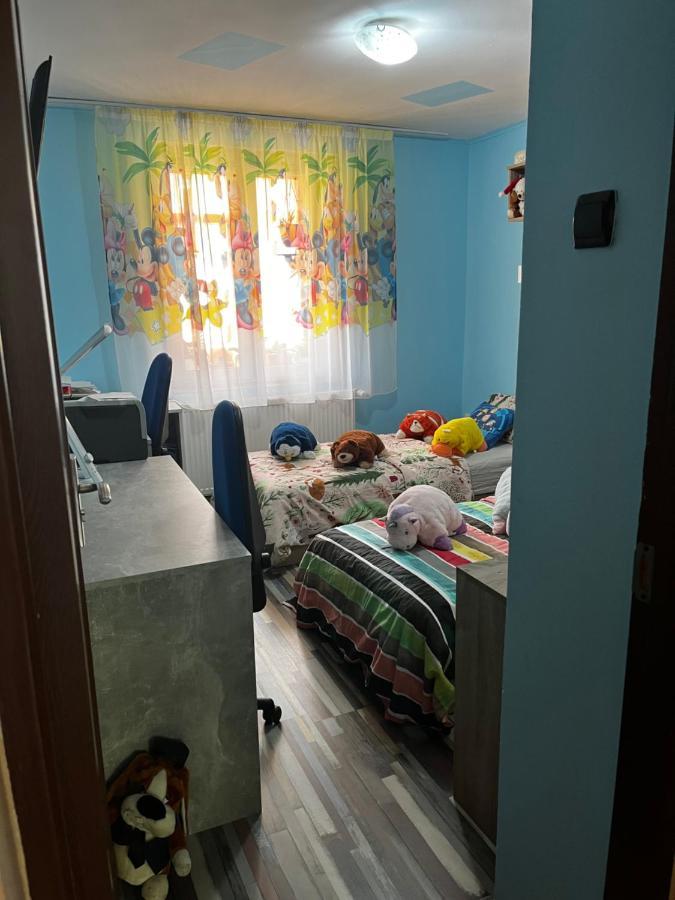 Apartament Maria 1 Baile Herculane Bagian luar foto